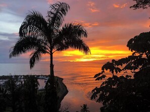 Ein Sonnenuntergang über einem ruhigen Meer mit der Silhouette einer Palme und Booten in der Ferne.