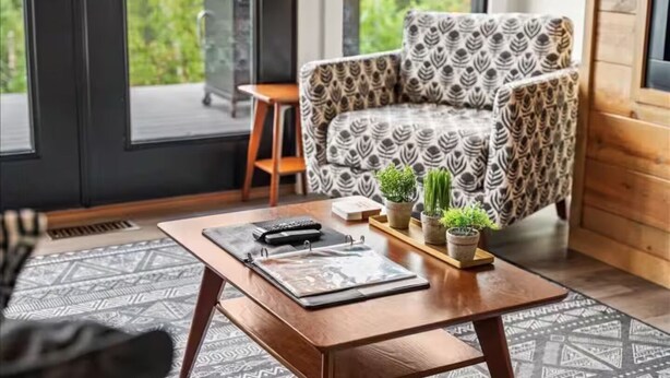 Un salon moderne avec un fauteuil à motifs, une table basse avec une télécommande et des plantes en pot.