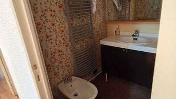 A bathroom with a toilet, bidet, and a sink with a mirror above it.