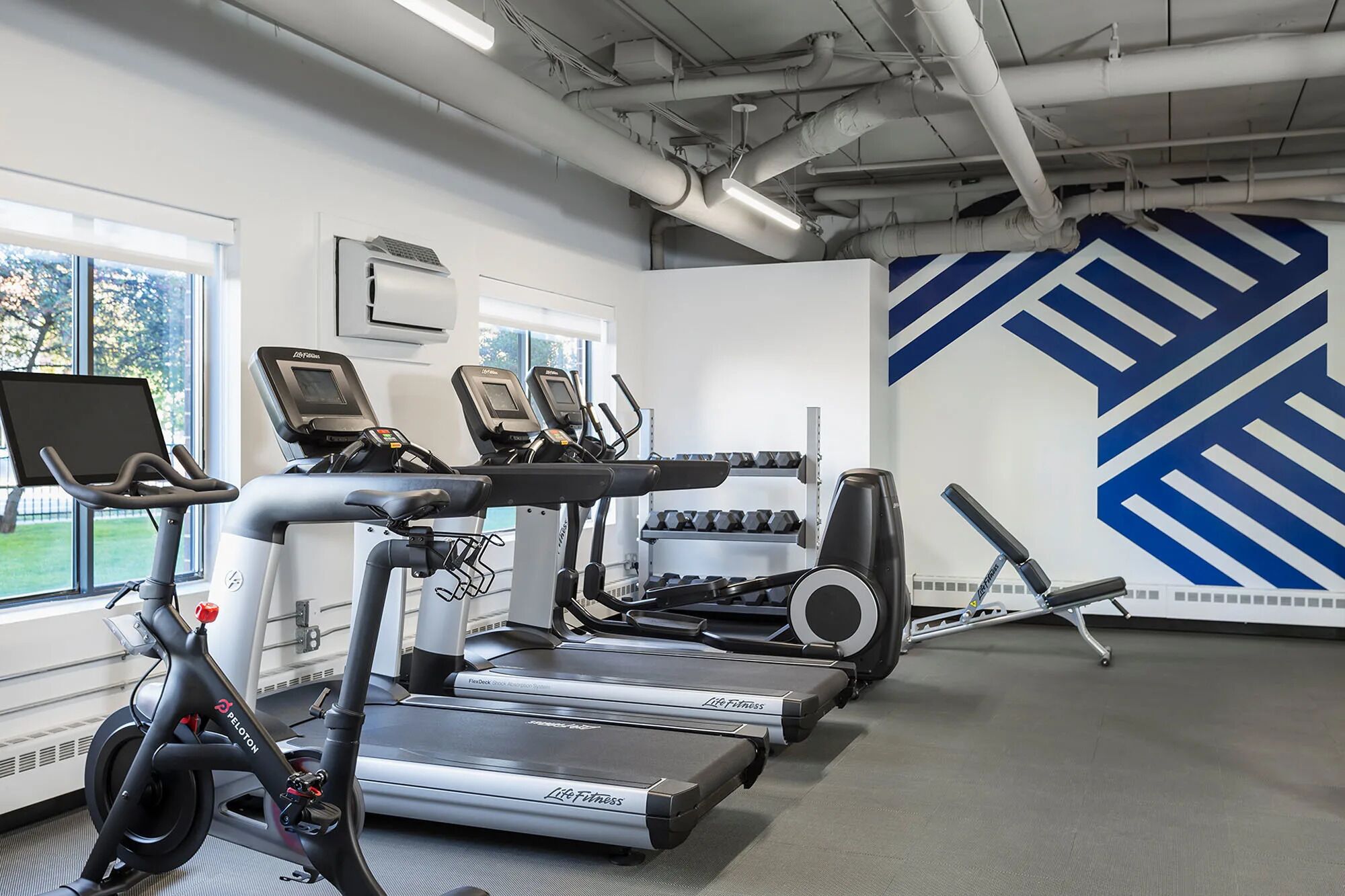 A gym with treadmills, elliptical machines, and weight benches.