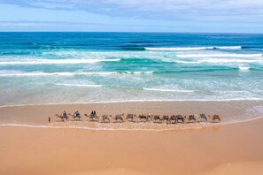 Ein Strand mit einer Reihe von Kamelen und Reitern, die am Ufer entlanggehen.