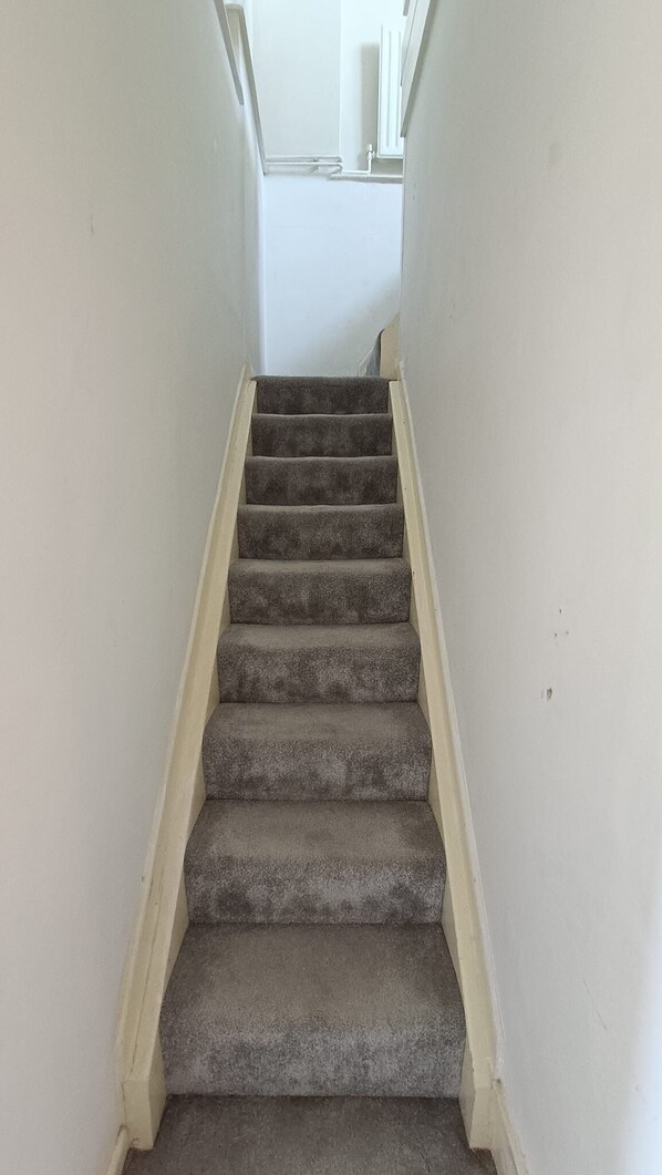 A carpeted staircase with a handrail, leading to a landing with a door.