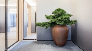 A modern interior with a large potted plant in a corner, a glass door leading to another room, and a grey carpeted floor. - JI HOTEL Wuhan Xudong Avenue (Wuhan)