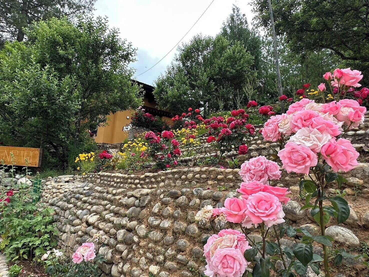 Un jardín con un muro de piedra, rosas rosadas y un letrero con la palabra 'INPARO'.