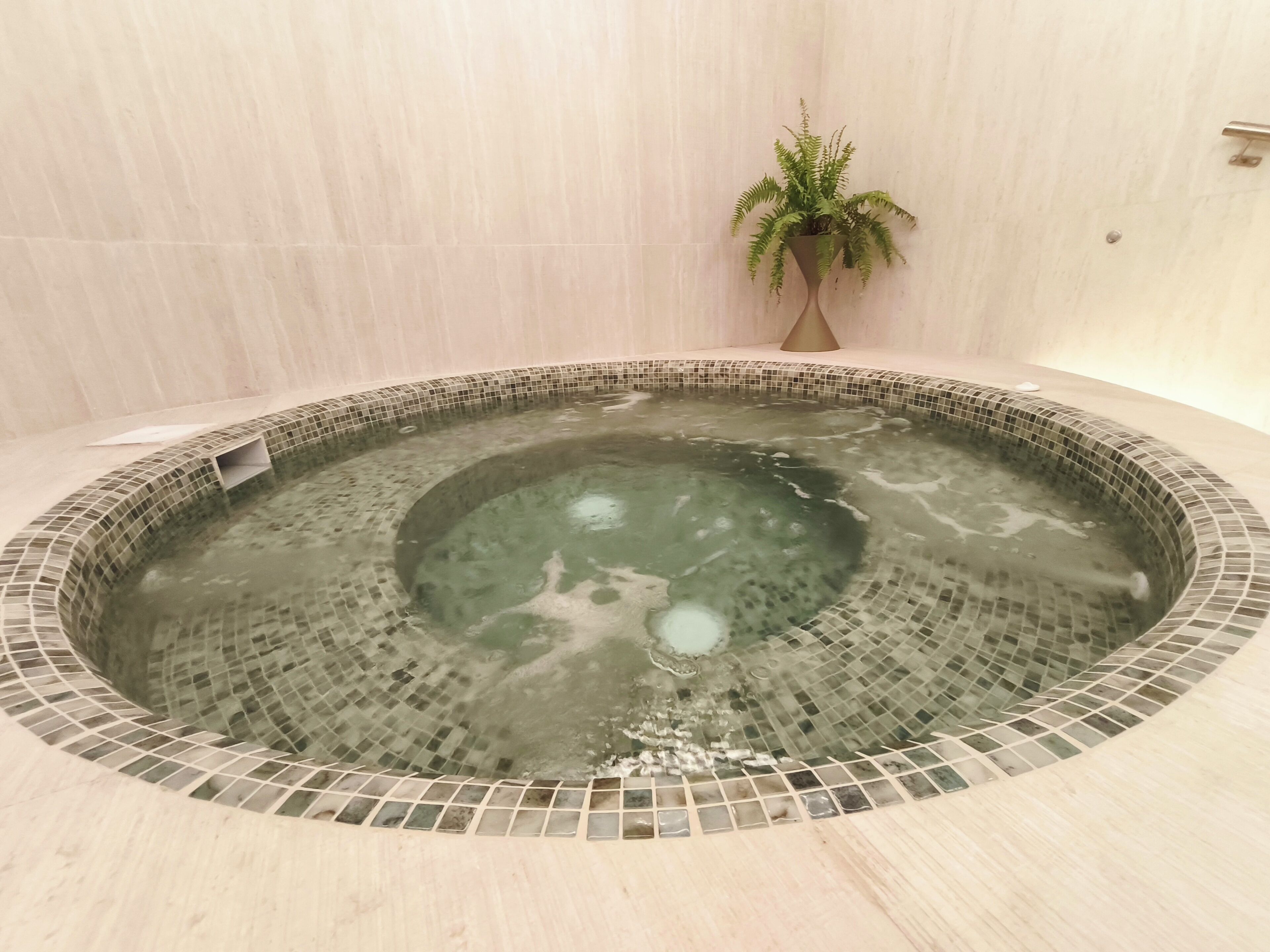 Un jacuzzi con detalles de mosaico, una planta en maceta y una pared revestida de azulejos.