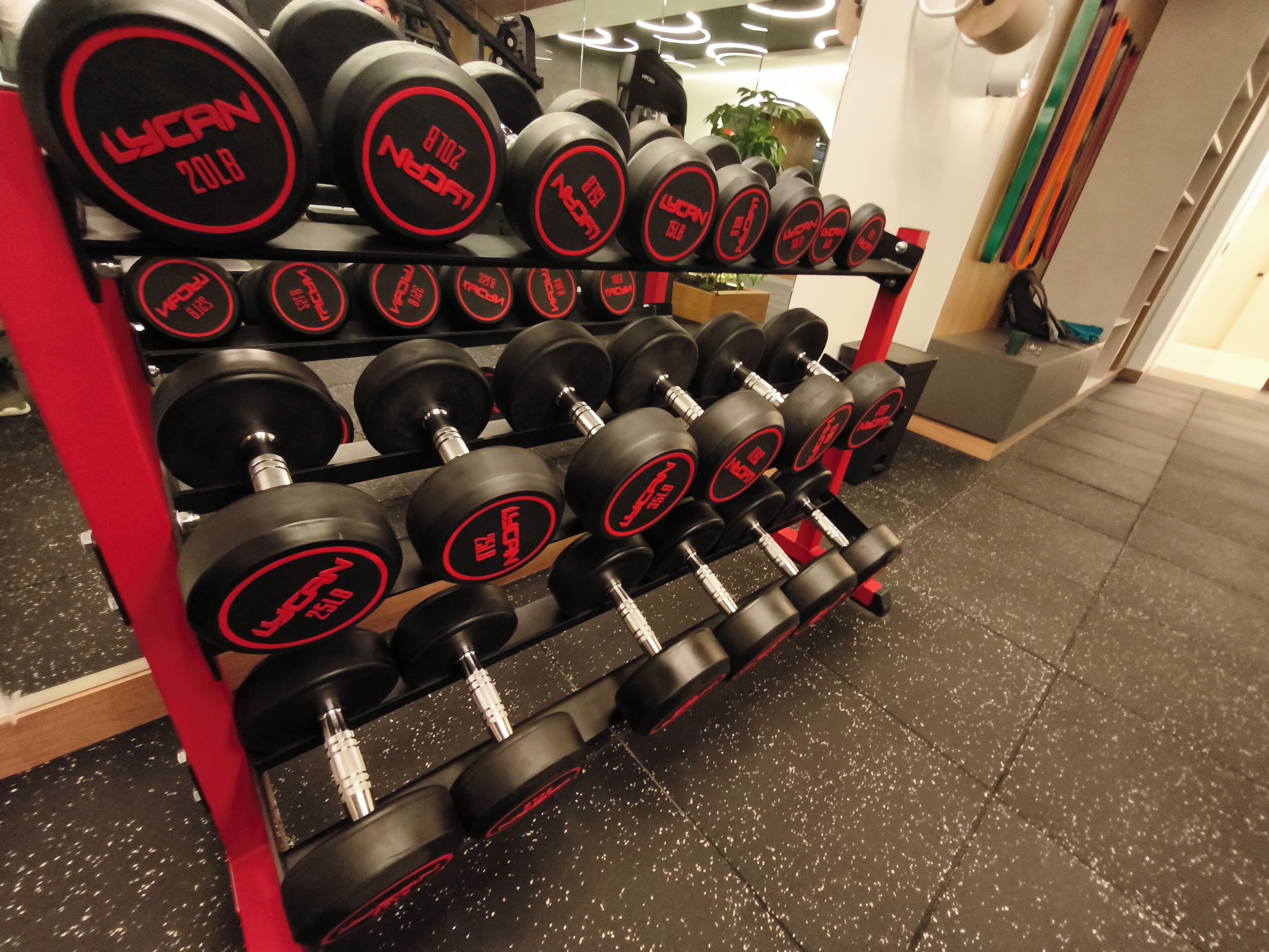 Un estante con mancuernas negras, con detalles en rojo, colocado sobre un soporte rojo en un gimnasio.