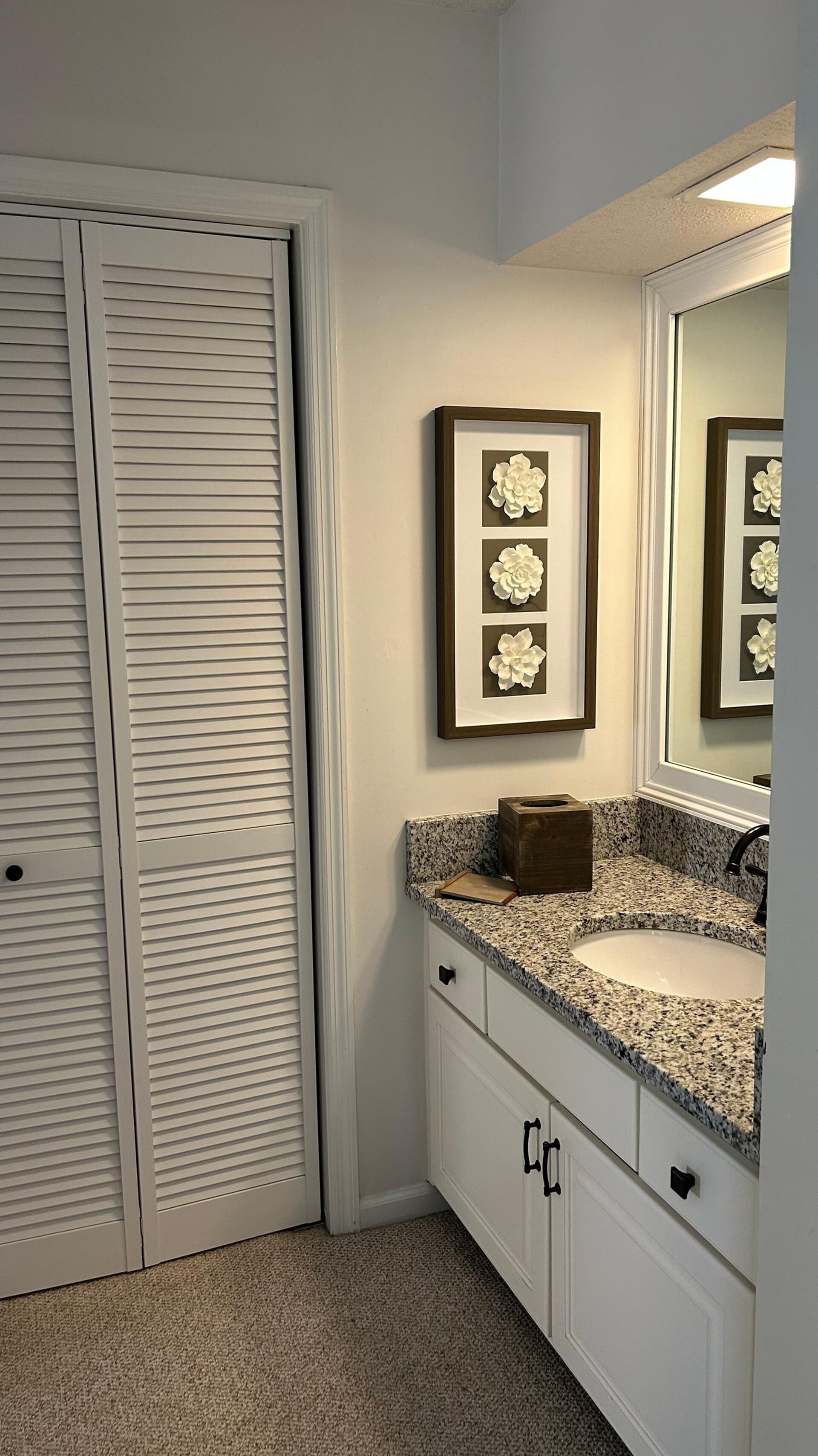 A bathroom with a white vanity, a sink, a mirror, and a framed floral artwork on the wall.
