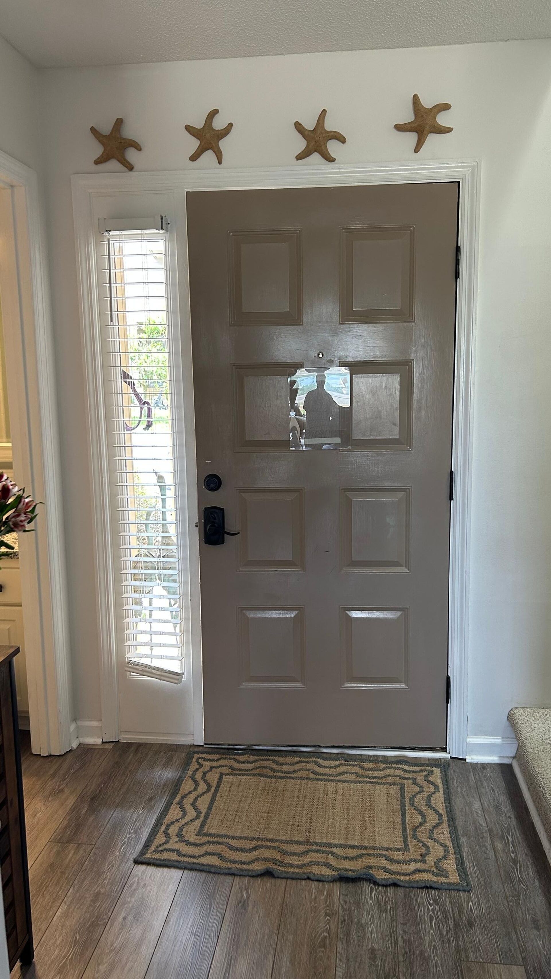 A closed door with starfish decorations above it, a window with blinds, and a patterned rug on the floor.