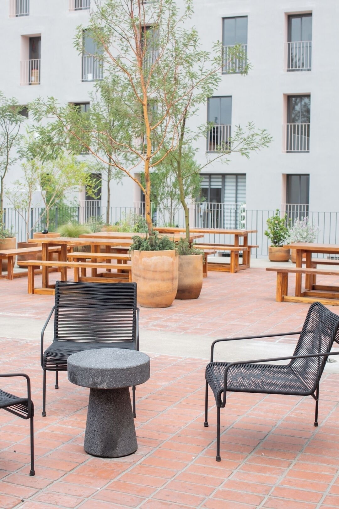 An outdoor seating area with wooden benches and tables, surrounded by potted plants and trees.