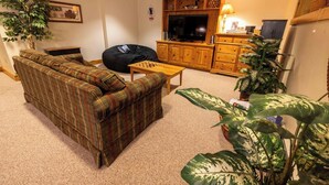 A living room with a sofa, a bean bag, a television, and wooden cabinets. - Mountains, golfing, hiking, tram and waterpark! (Jay)