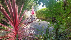 A garden pathway with a red plant in the foreground, a patio area with a table and chairs, and a hedge in the background. - Lovely home in Henanbihen with WiFi (Henanbihen)