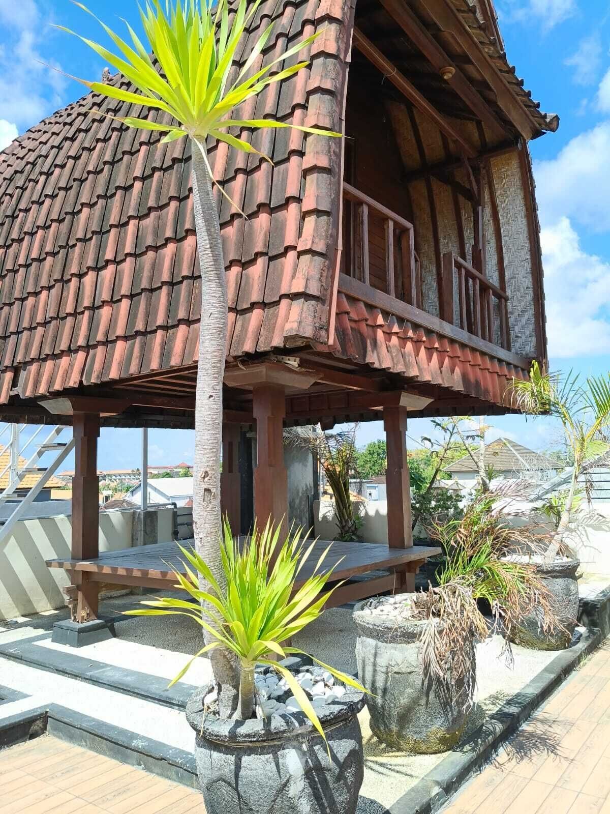 A traditional wooden house with a tiled roof, surrounded by potted plants and a stone pathway.