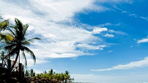 Ein Strand mit blauem Himmel, Palmen und ruhiger See.
