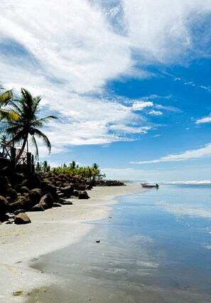 A beach with clear skies, palm trees, and a calm sea.