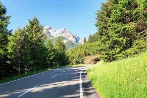 A winding mountain road with dense forest on both sides and a mountain range in the distance. - Residenza Larix 205 Modern Alpine Stay in San Bernardino | Ski, Hiking & Nature, San Bernardino, Switzerland (San Bernardino)