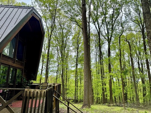 Relax in Nature in a gorgeous cozy cabin space that sleeps up to 8 people.