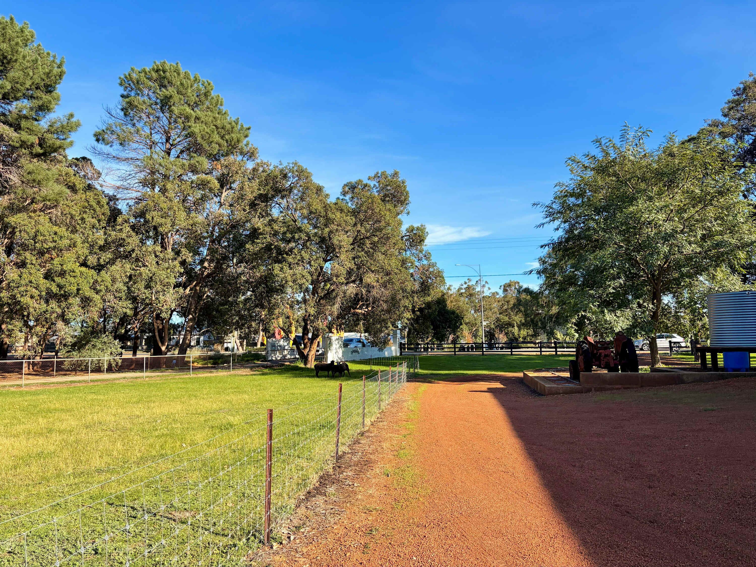 A fenced outdoor area with a gravel path, green grass, and trees.