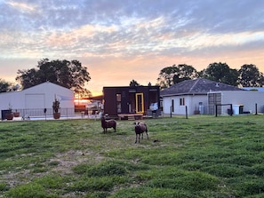 Exterior - Tiny Home in the Hills by Tiny Away (Forrestfield)