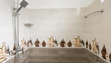 Shower, hair dryer, towels, shampoo