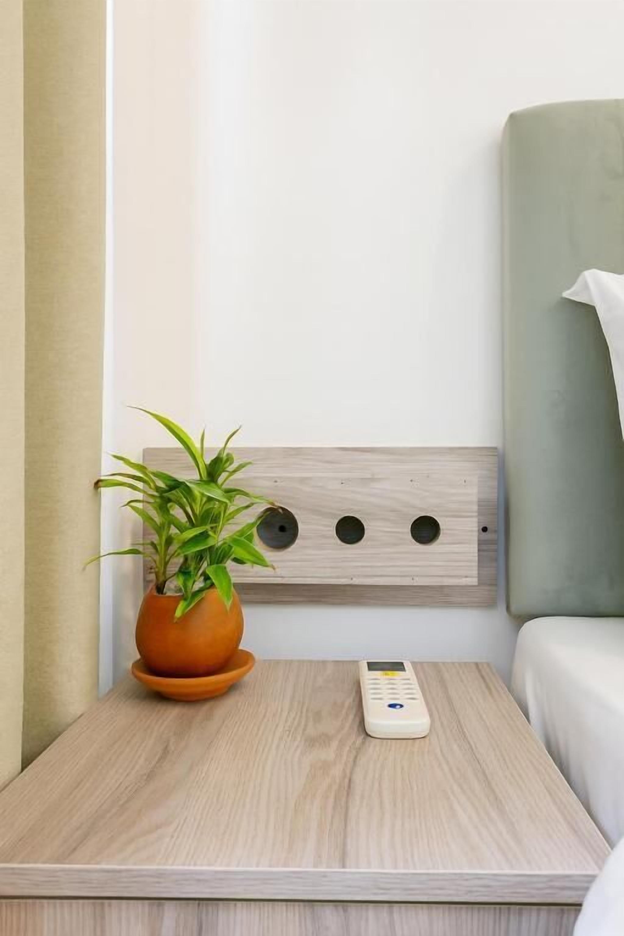 A bedside table with a potted plant and a remote control.