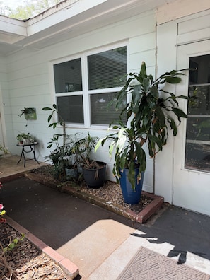 A house with a front porch, potted plants, and a window with blinds. - Peaceful St. Pete 2BR Home with Tropical Garden (St. Petersburg)