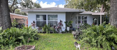 Una casa residencial con jardín delantero, un gato y diversas plantas.