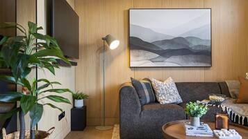 Télévision, livres, chaîne hi-fi