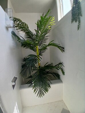 A corner of a room with a potted plant, a white wall, and a window. - Affordable 3-Bedroom Stay in Wailuku, Maui (Wailuku)