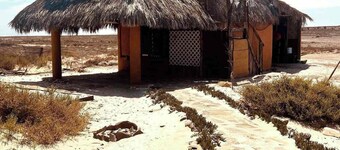 "El Nirvana" Oceanfront Cabin: Surf & Desert