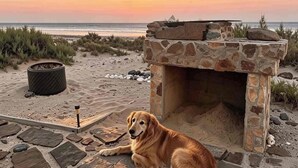 A dog resting near a stone fire pit on a beach with a sunset in the background. - "El Nirvana" Oceanfront Cabin: Surf & Desert (Punta Abreojos)
