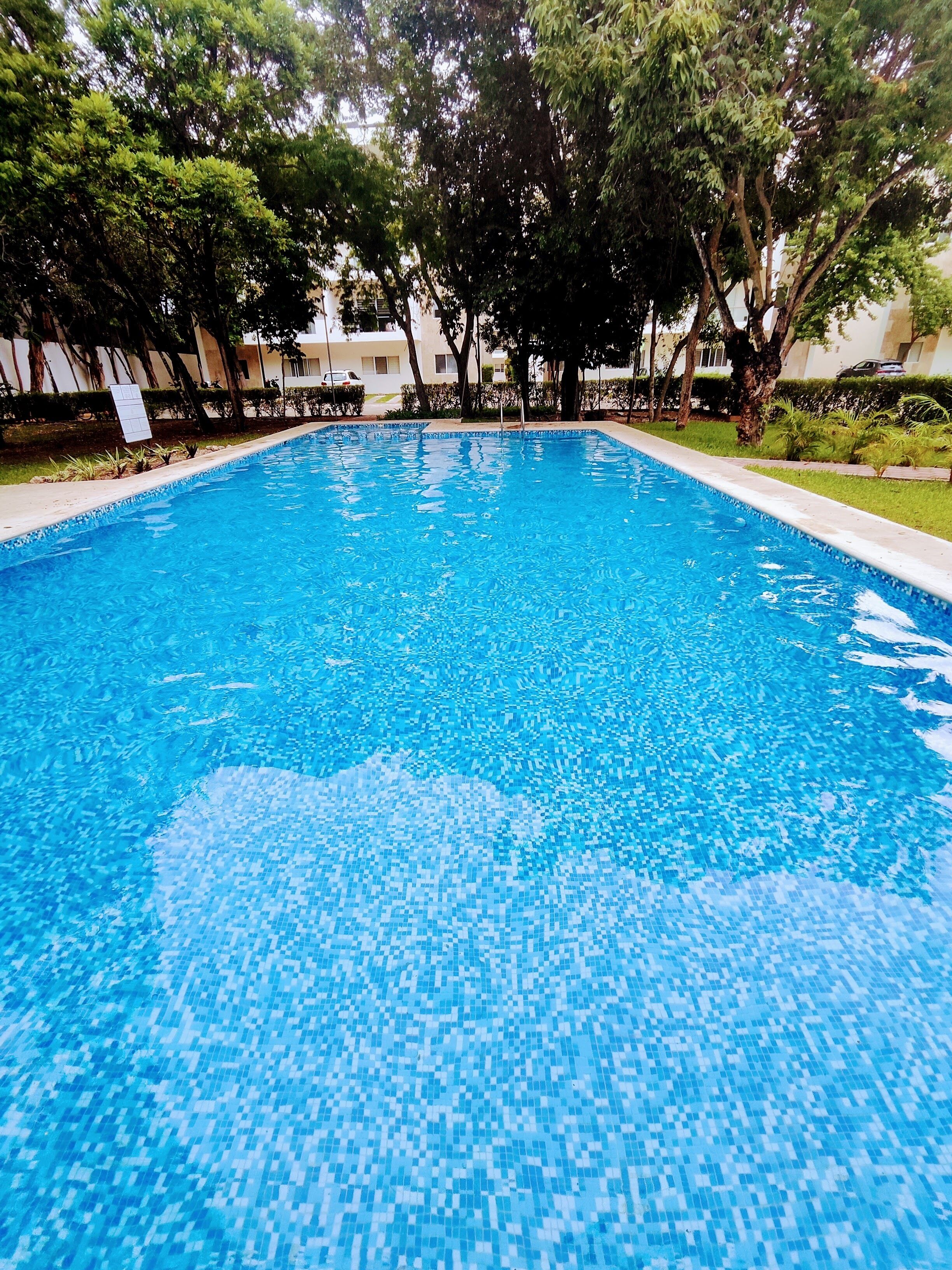 Ein klares, blaues Schwimmbecken, umgeben von Bäumen und einem Gebäude im Hintergrund.