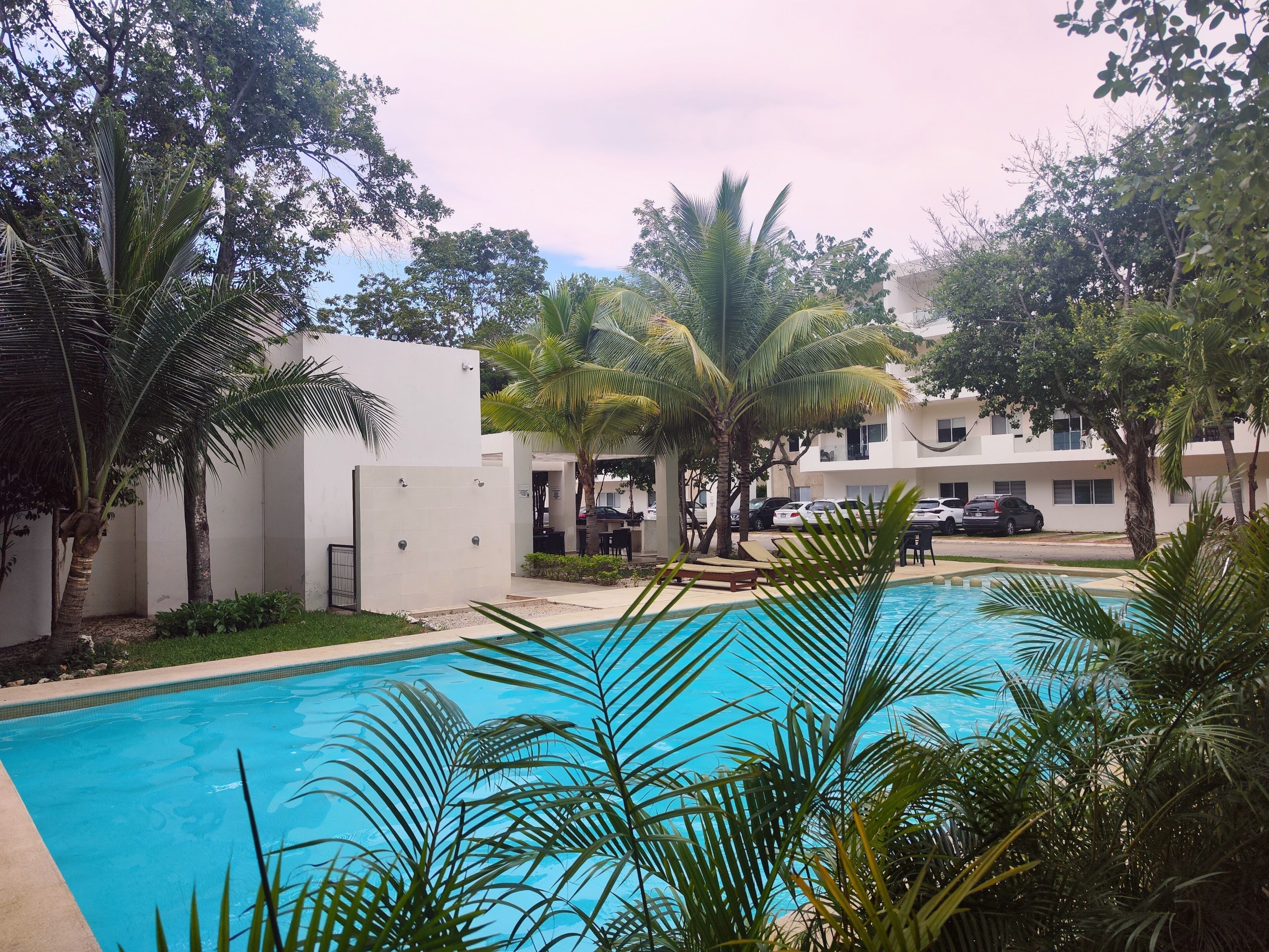Une piscine entourée de palmiers et un bâtiment blanc doté de nombreuses fenêtres.