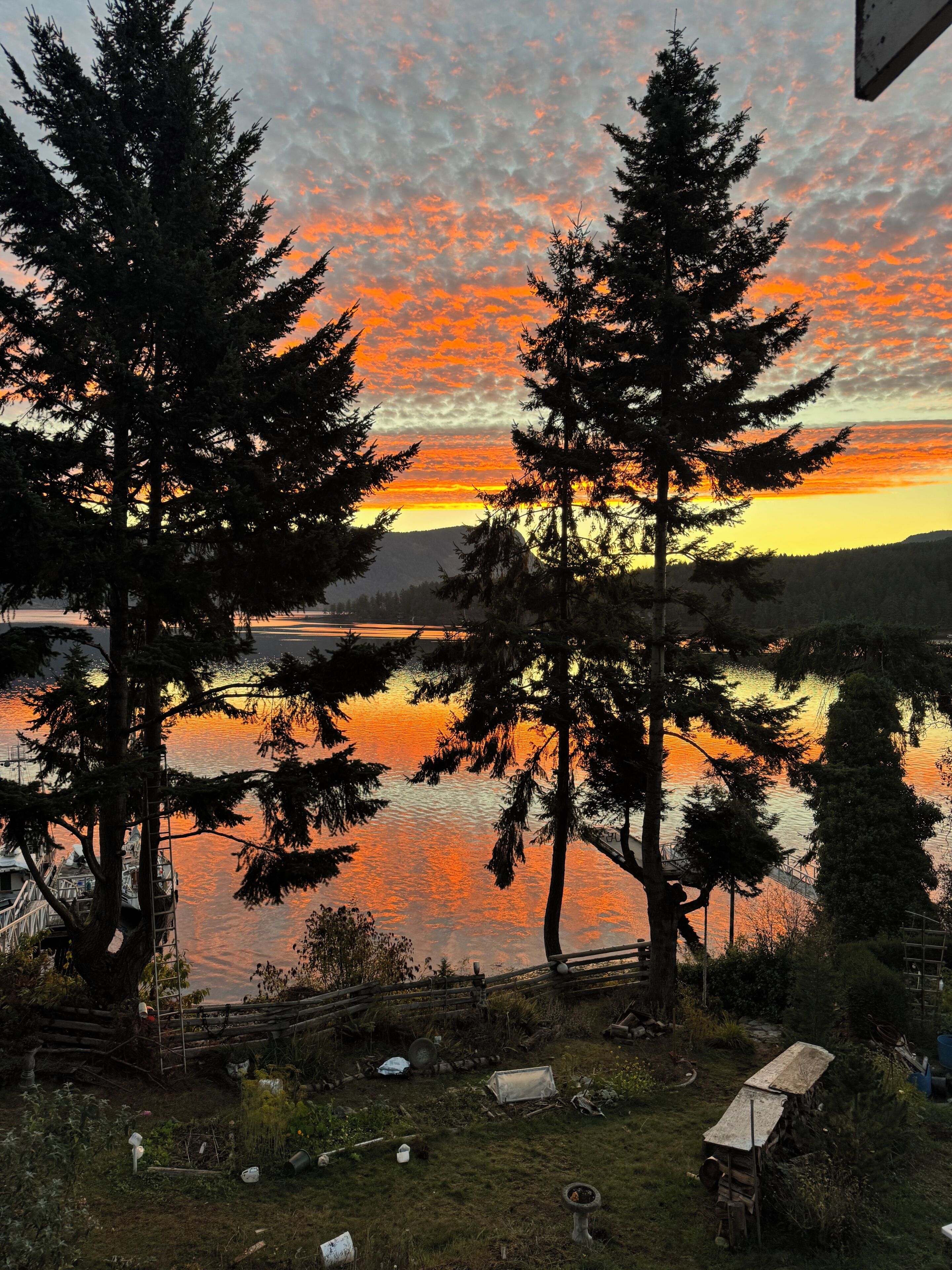 A sunset view with trees and a body of water.