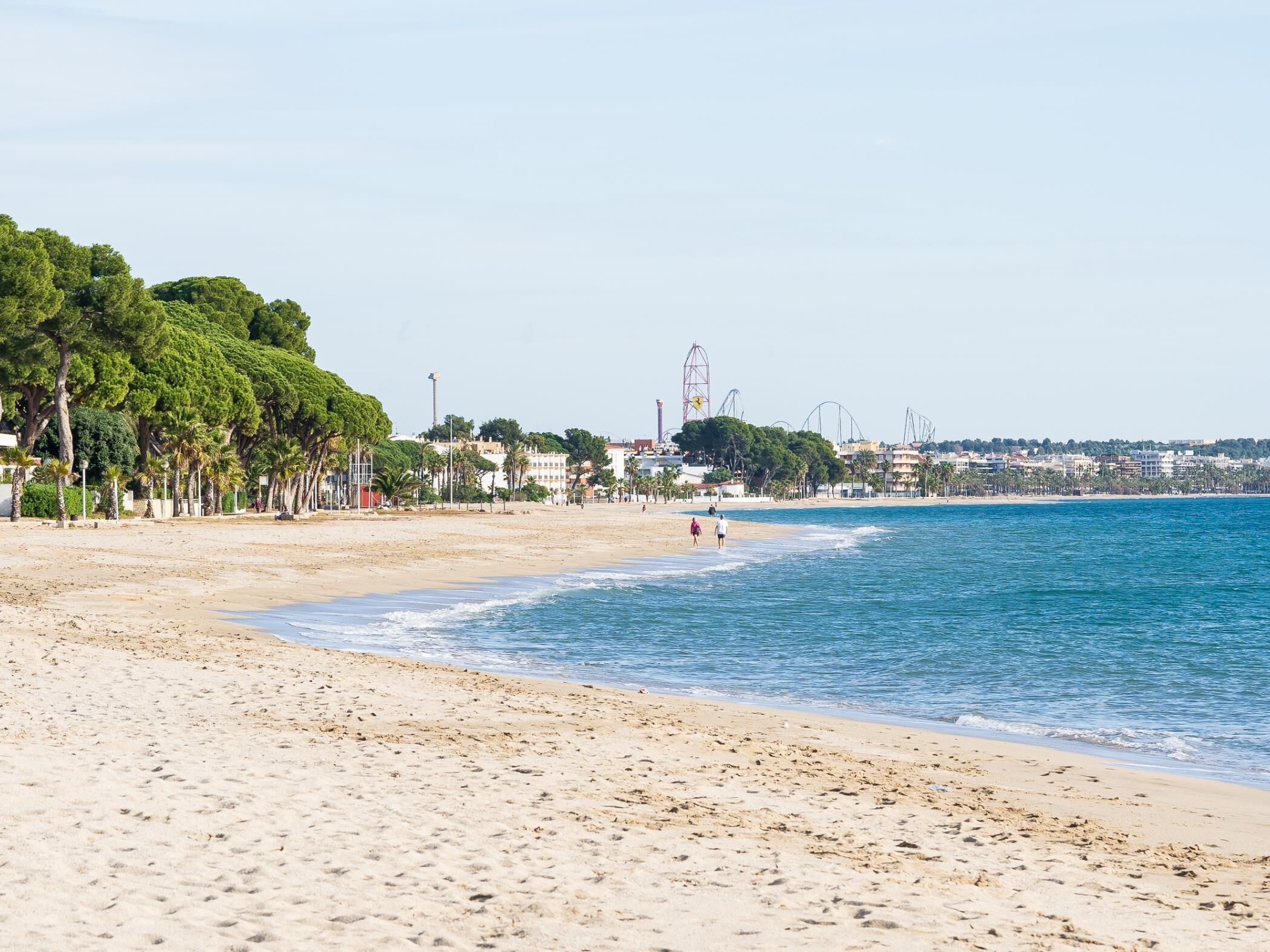 Una playa con vista despejada al mar, una orilla arenosa y una hilera de árboles y edificios al fondo.
