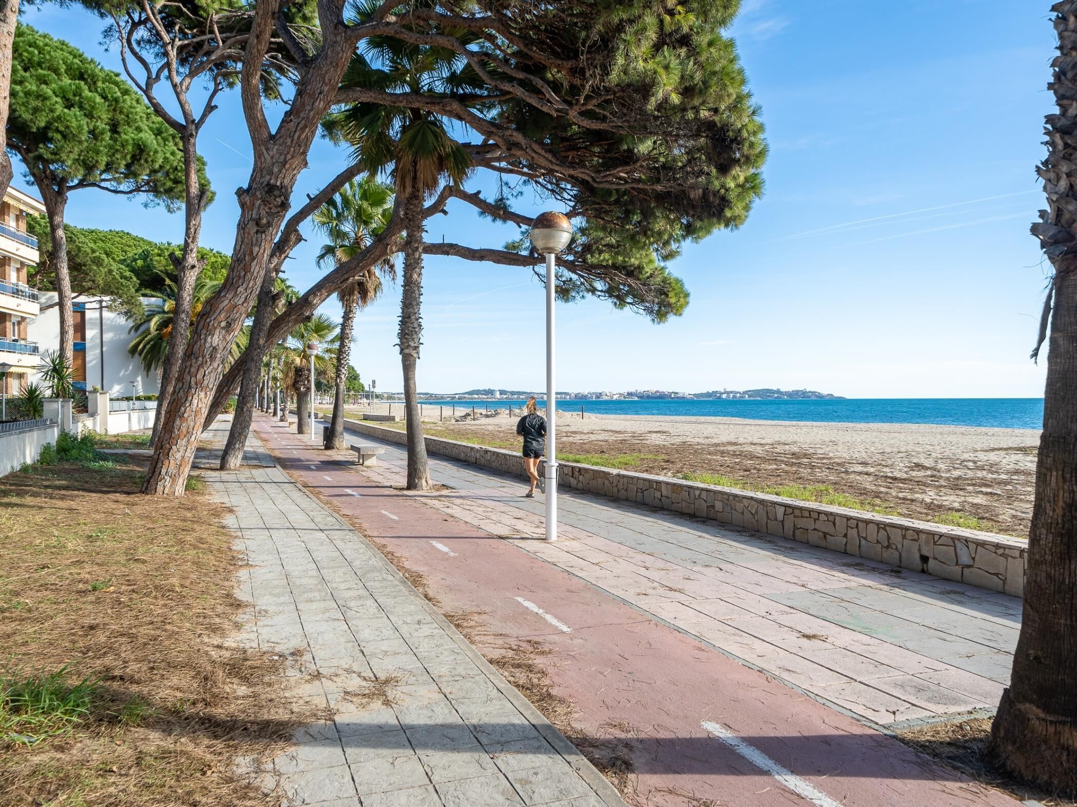 Een kustpad omzoomd met bomen en een strand op de achtergrond.