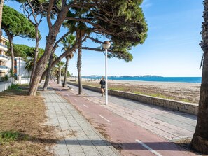 Een kustpad omzoomd met bomen en een strand op de achtergrond.