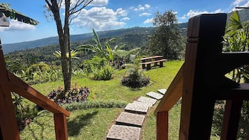 Hytte – deluxe, balkong | Terrasse/patio