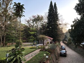 A residential street with a paved driveway, parked cars, and a variety of trees and shrubs.