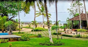 A lush garden with a pool, palm trees, and a view of the ocean.
