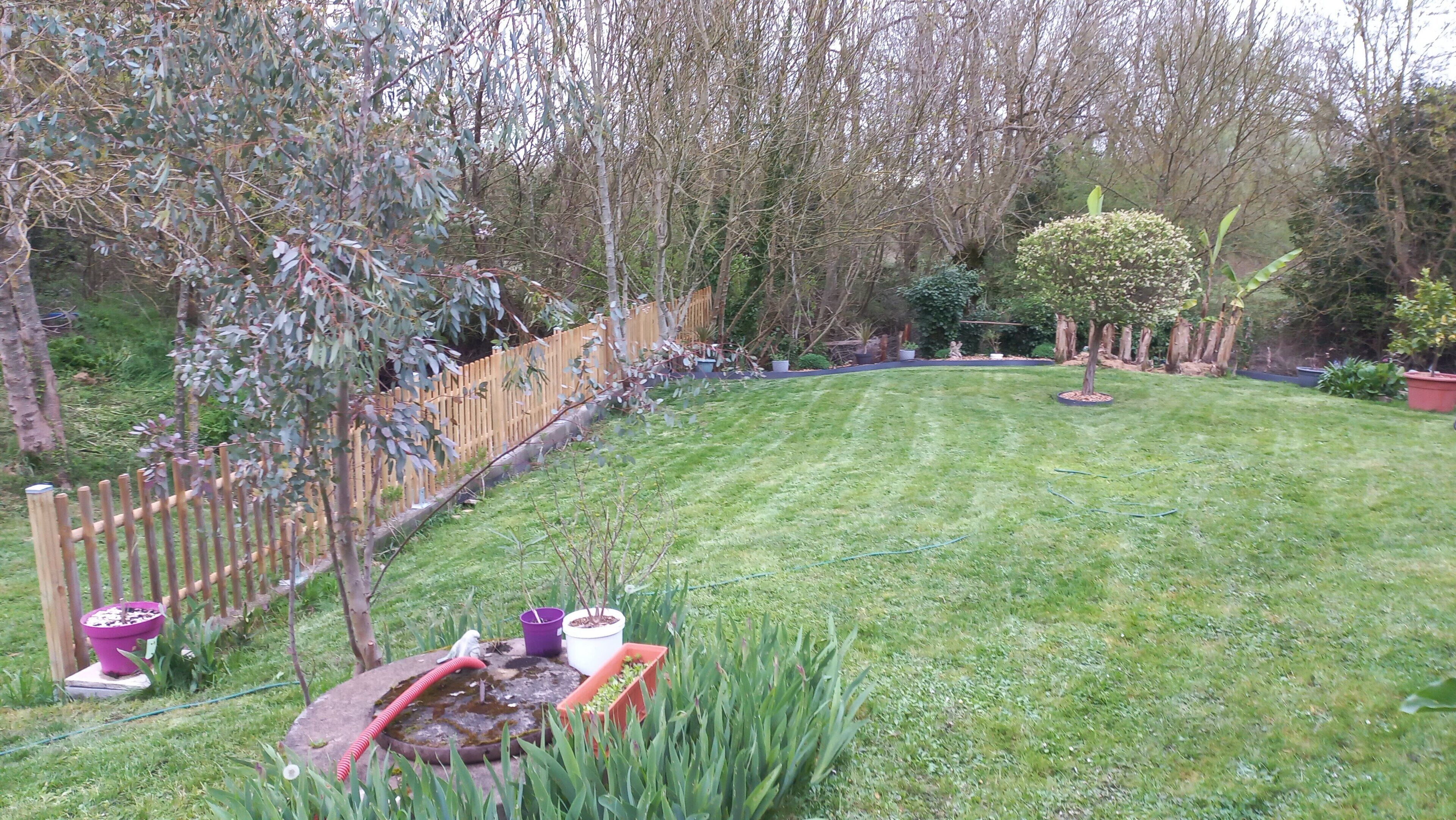 Un jardin bien entretenu, agrémenté d’une clôture en bois, de différentes plantes en pot et d’un petit étang.