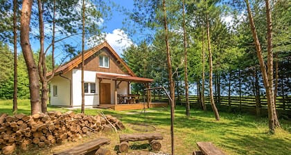 2 bedroom stunning home in Zalewo