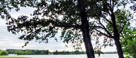 Un paysage naturel comprenant une étendue d’eau, des arbres et une zone herbeuse.