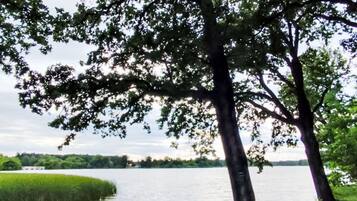 Paesaggio naturale con una distesa d'acqua, alberi e una zona erbosa.