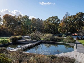 Ein friedlicher Garten mit Teich, Holzterrasse und umliegenden Bäumen.