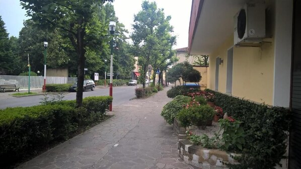 A paved pathway with a row of potted plants and a building on the right.