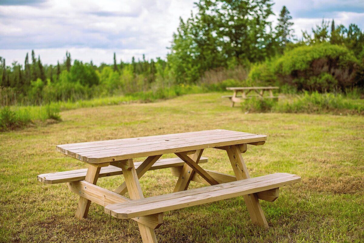 Une table de pique-nique en bois, installée dans un champ herbeux, avec des arbres en arrière-plan.