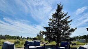 Un espacio al aire libre con mesas y sillas, una mesa de picnic y un árbol grande.