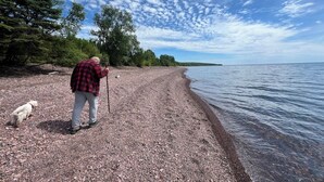 Una persona con un bastón y un perro en una playa de guijarros, con árboles y una masa de agua.