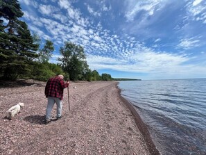 A person with a walking stick and a dog on a pebbled beach with trees and a body of water.