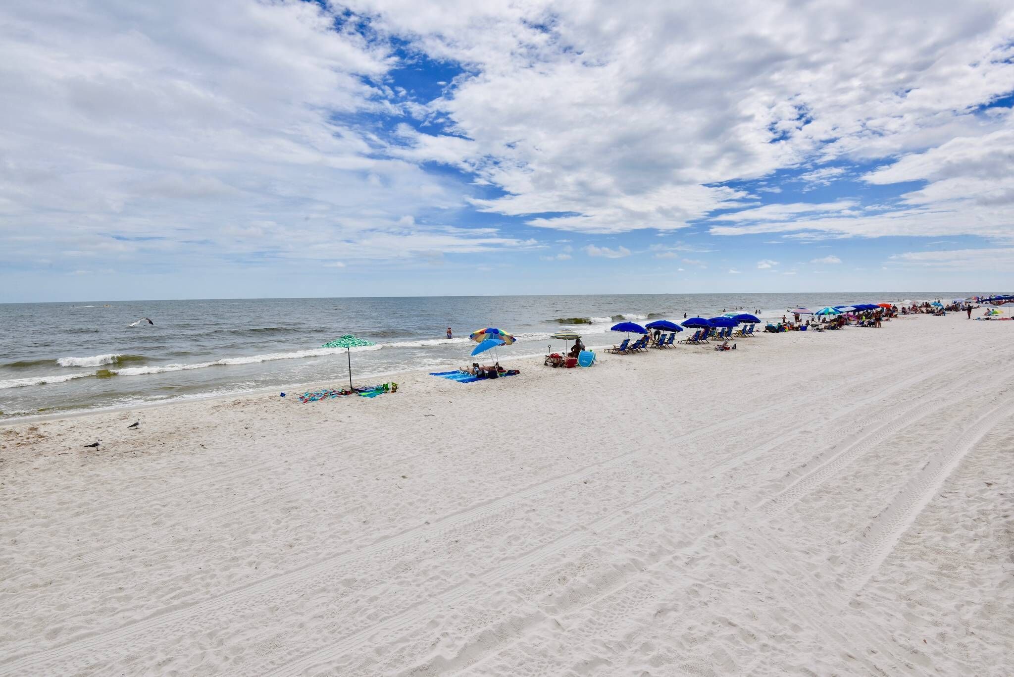 A beach with rows of beach chairs and umbrellas, a sandy shore, and the ocean in the background.